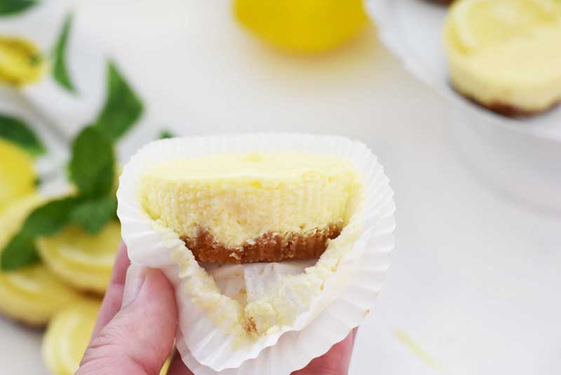 Mini cheesecake made in a muffin tin. There is a hand holding the slightly unwrapped cheesecake. 