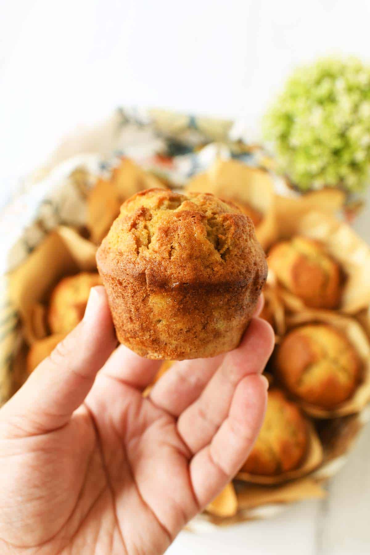 A hand holding up a fluffy banana muffin with a green plant in the background.